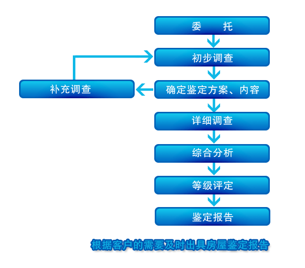 鑒定標(biāo)準(zhǔn)(圖1)